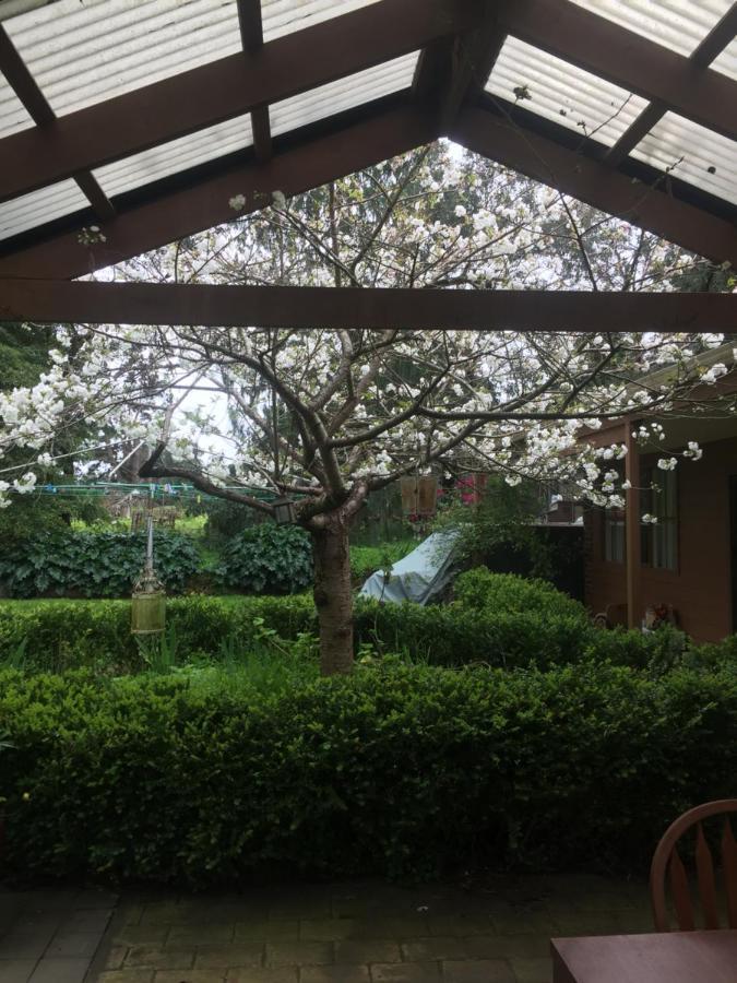 Sherwood Park Bed And Breakfast Somerville Esterno foto