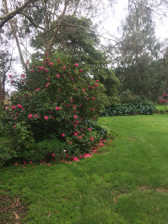 Sherwood Park Bed And Breakfast Somerville Esterno foto