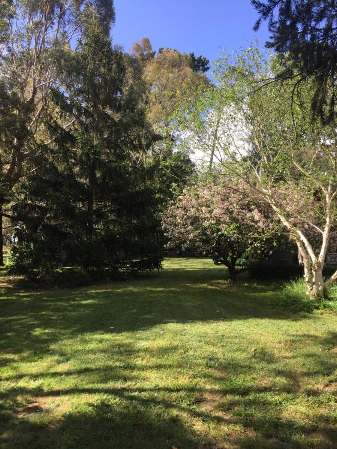 Sherwood Park Bed And Breakfast Somerville Esterno foto